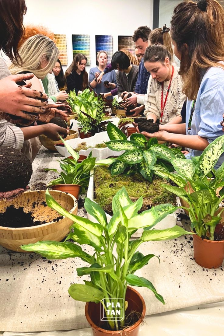 Activités vertes - Teambuilding - PLATAN